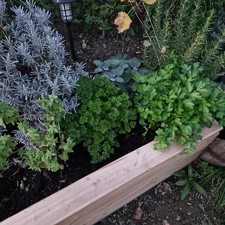 Maison Дом отдыха