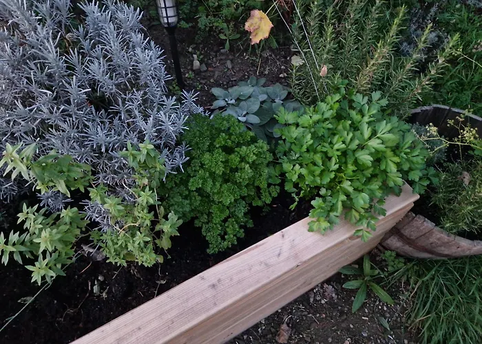 Maison בית נופש